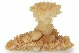 Fascinating Cave Calcite Mushroom Stalactite - Wenshan Mine #223546-1